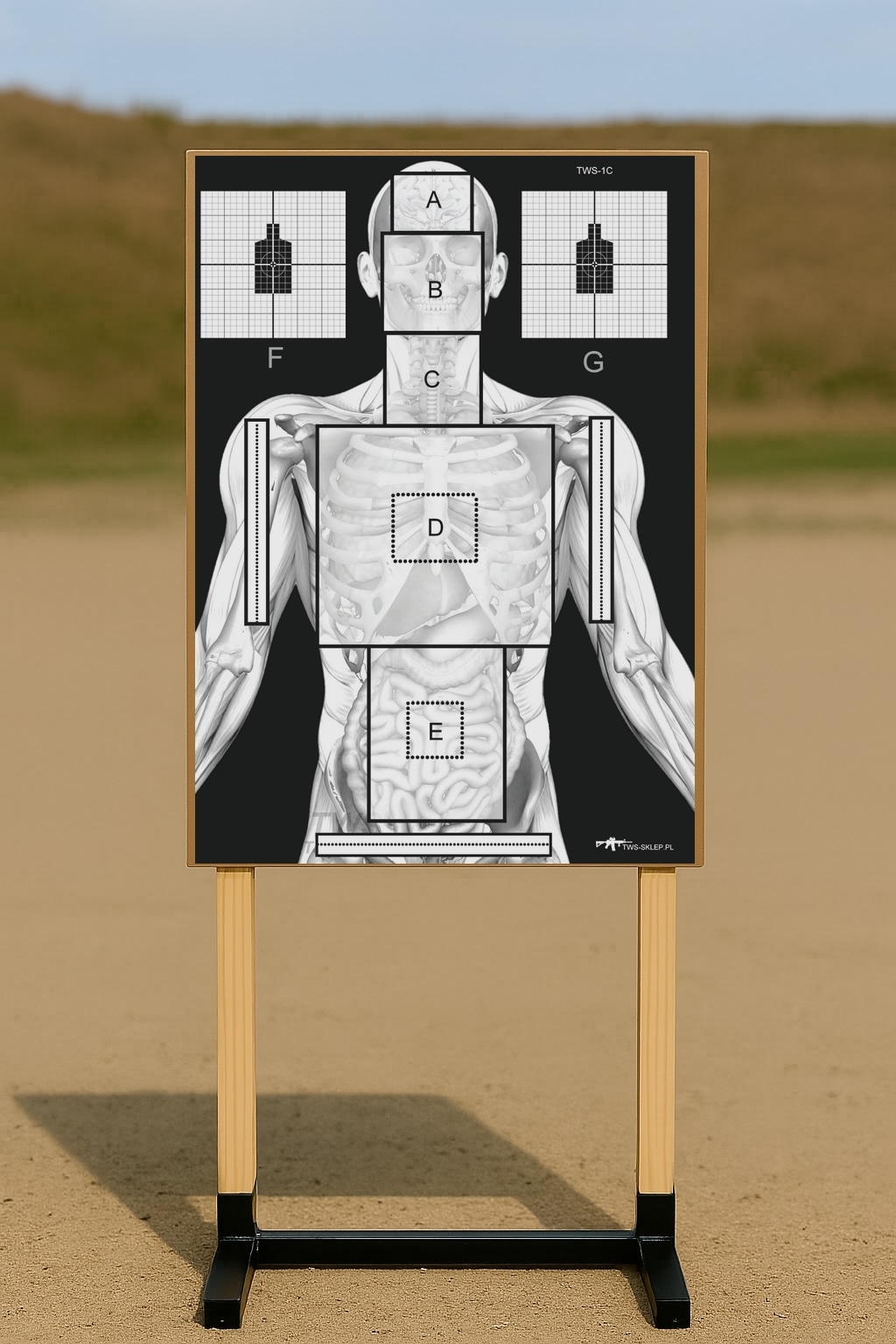 tarcze-strzeleckie-RTG-skeleton-TWS-papierowe-anatomiczne tarcze-strzeleckie-RTG-skeleton-TWS-papierowe-anatomiczne